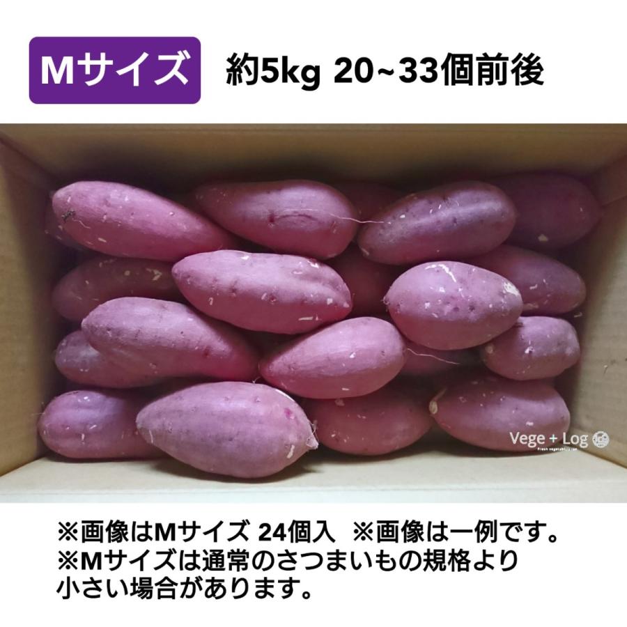 大分県産　甘太くんA品Mサイズ　20キロ 大分県産 甘太くんA品Mサイズ20キロ 大分県産 甘