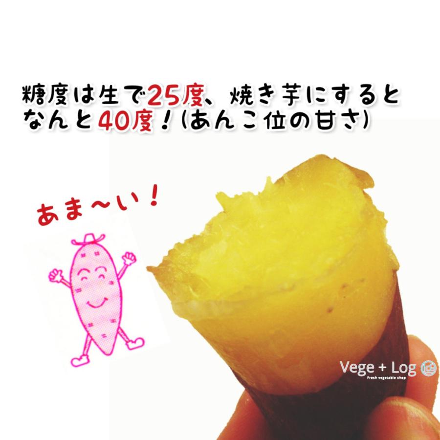 大分県特産 高糖度さつまいも 「甘太くん」 A品 約5kg Sサイズ 大分県特産 高糖度さつまいも 「甘太くん」 A品 約5kg Sサイズ