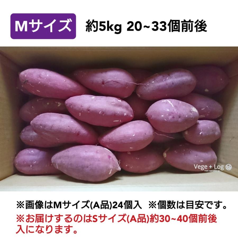 大分県特産 高糖度さつまいも 「甘太くん」 A品 約5kg Sサイズ 大分県特産 高糖度さつまいも 「甘太くん」 A品 約5kg Sサイズ