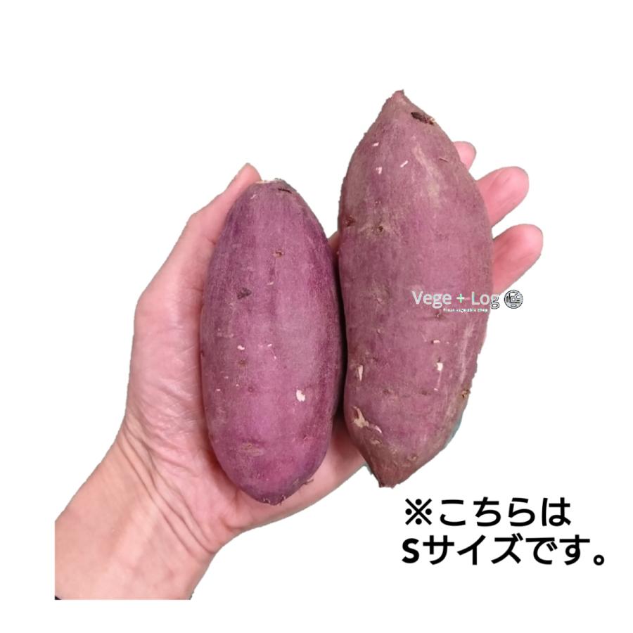 大分県特産 高糖度さつまいも 「甘太くん」 A品 約5kg Sサイズ 大分県特産 高糖度さつまいも 「甘太くん」 A品 約5kg Sサイズ