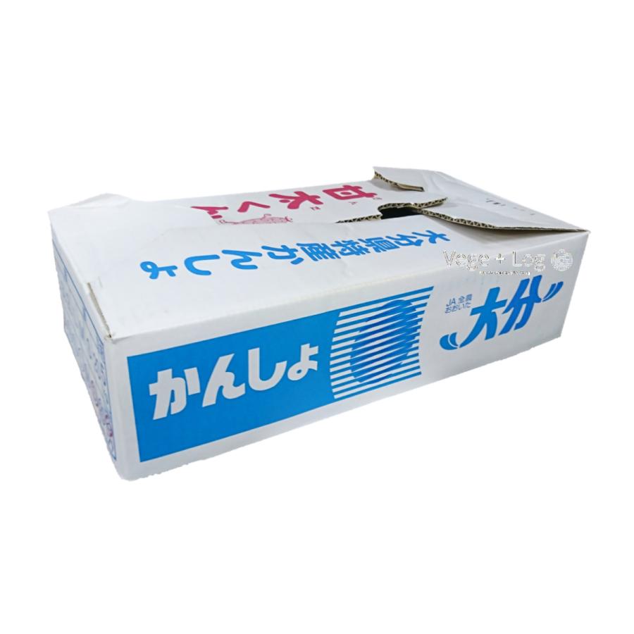 大分県特産 高糖度さつまいも 「甘太くん」 A品 約5kg Sサイズ 大分県特産 高糖度さつまいも 「甘太くん」 A品 約5kg Sサイズ