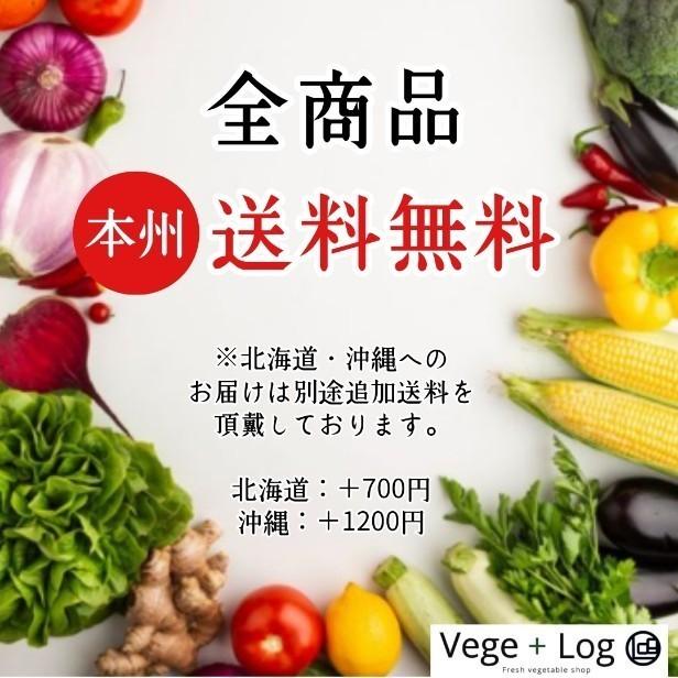 京都府産 京野菜 えびいも「こえびちゃん」 3Sサイズ 10袋 (1袋あたり約300g・7~9個前後入) ギフト用 贈答品質 お歳暮 お節料理 京の伝統野菜 本州送料無料