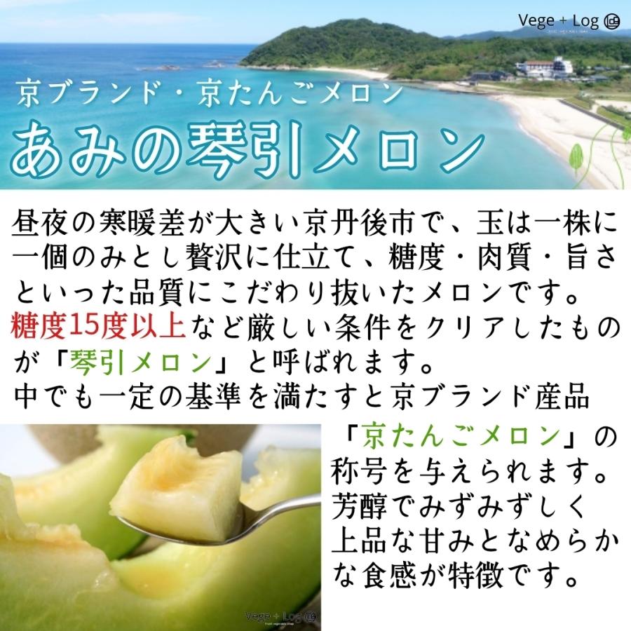 期間限定】京都府産 京たんごメロン「琴引メロン」優秀品(絹・琴) 2L
