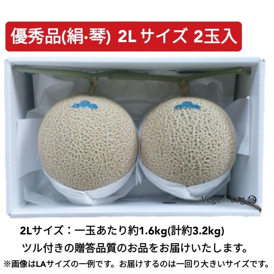 期間限定】京都府産 京たんごメロン「琴引メロン」優秀品(絹・琴) 2L