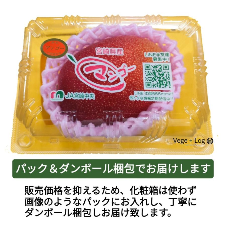 宮崎県産 完熟マンゴー A品 3L 1玉入 大玉 約350g~ ギフト用 贈答品質