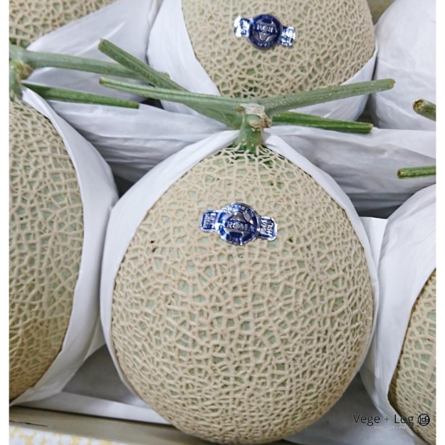 静岡県産他 アールスメロン 秀品 1玉 大玉 2L~3Lサイズ 約1.7kg前後