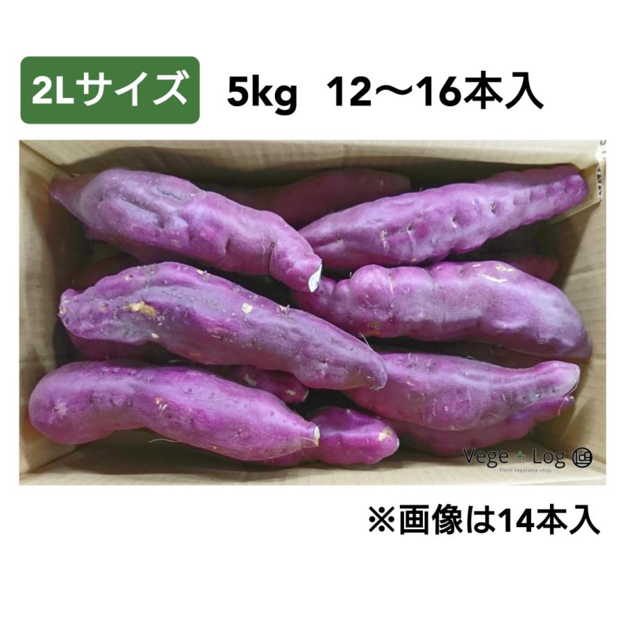 徳島県産 鳴門金時 里むすめ JA里浦 約5kg 2Lサイズ 12〜16個前後入 B