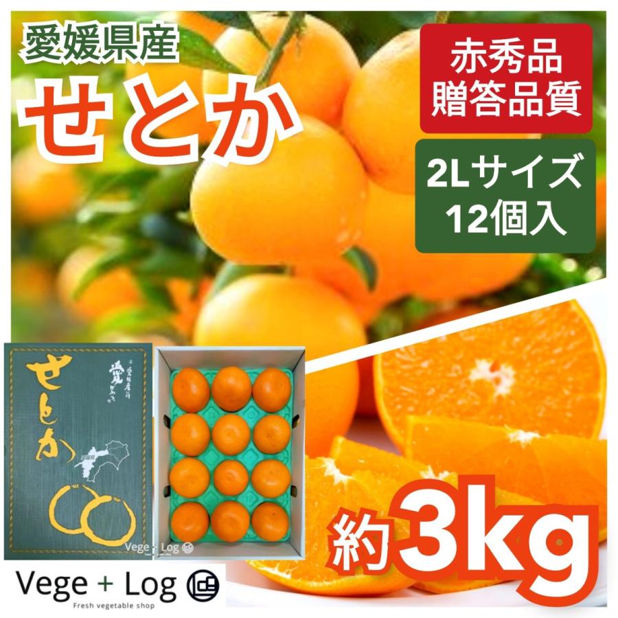 愛媛産せとか　お得なセット2Lサイズ✕２箱　計10キロ（箱込み） 2026 ギフト せとか 青秀 約2.2kg 大きさお任せ 贈答用 愛媛県 中島