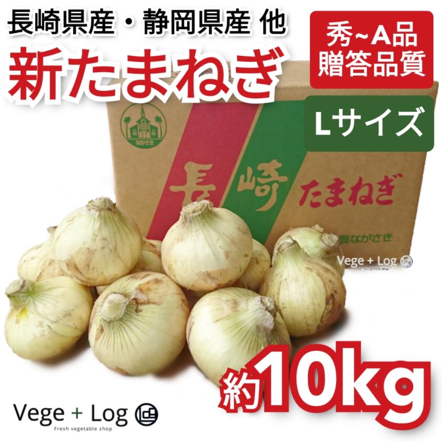 長崎県産・静岡県産 他 新たまねぎ 秀~A品 Lサイズ 約10kg ギフト用