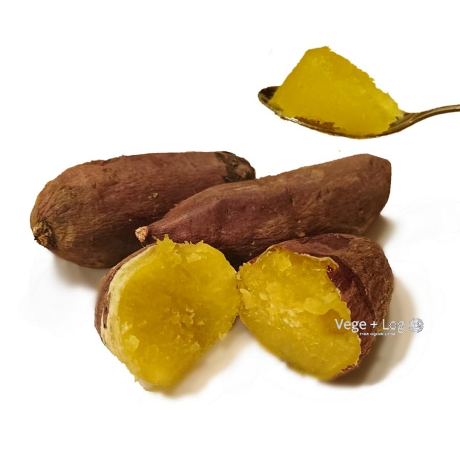 茨城旭村 シルクスイート 約5kg M・Lサイズ サイズおまかせ 茨城県産 A 