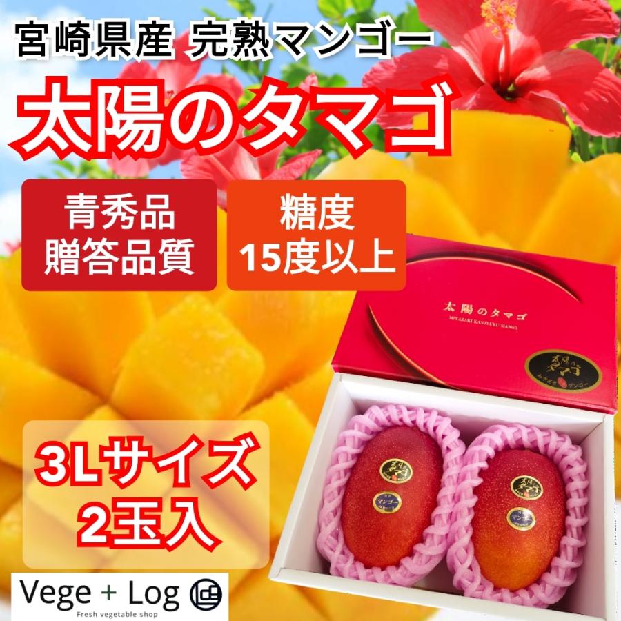 食品 宮崎産 完熟マンゴー 3Lサイズ 2玉入り化粧箱