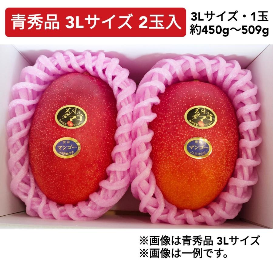 食品 宮崎産 完熟マンゴー 3Lサイズ 2玉入り化粧箱