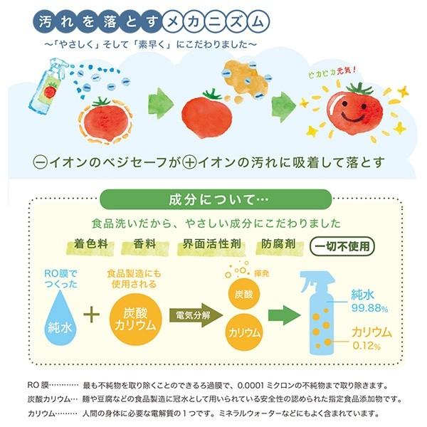 野菜洗いのお水【ベジセーフ】400ml×3本セット/ 農薬除去 界面 野菜洗いのお水【ベジセーフ】400ml×3本セット/ 農薬除去 界面