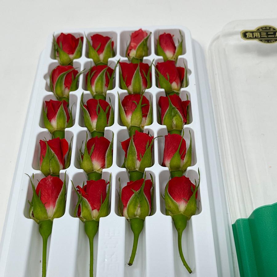 ベルローズ フレッシュ エディブルフラワー 食用花 赤バラ 1パック20個