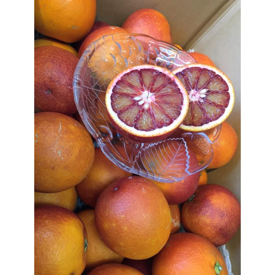 ブラッドオレンジ バラ詰5kg 愛媛県産 モロ タロッコ種 今が旬 国産 オレンジ イタリアオレンジ Blood Orange 5kg 高級フルーツ野菜問屋 五十嵐本店 通販 Yahoo ショッピング