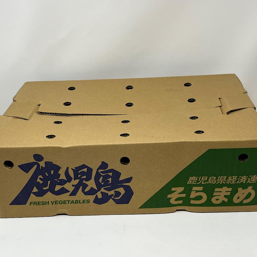 送料無料 ソラマメ そら豆 鹿児島・新潟県産 そらまめ 4kgバラ 送料無料 ソラマメ そら豆 鹿児島・新潟県産 そらまめ 4kgバラ