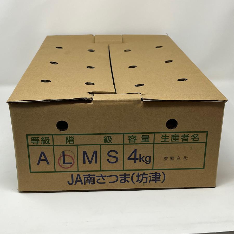 送料無料 ソラマメ そら豆 鹿児島・新潟県産 そらまめ 4kgバラ 送料無料 ソラマメ そら豆 鹿児島・新潟県産 そらまめ 4kgバラ