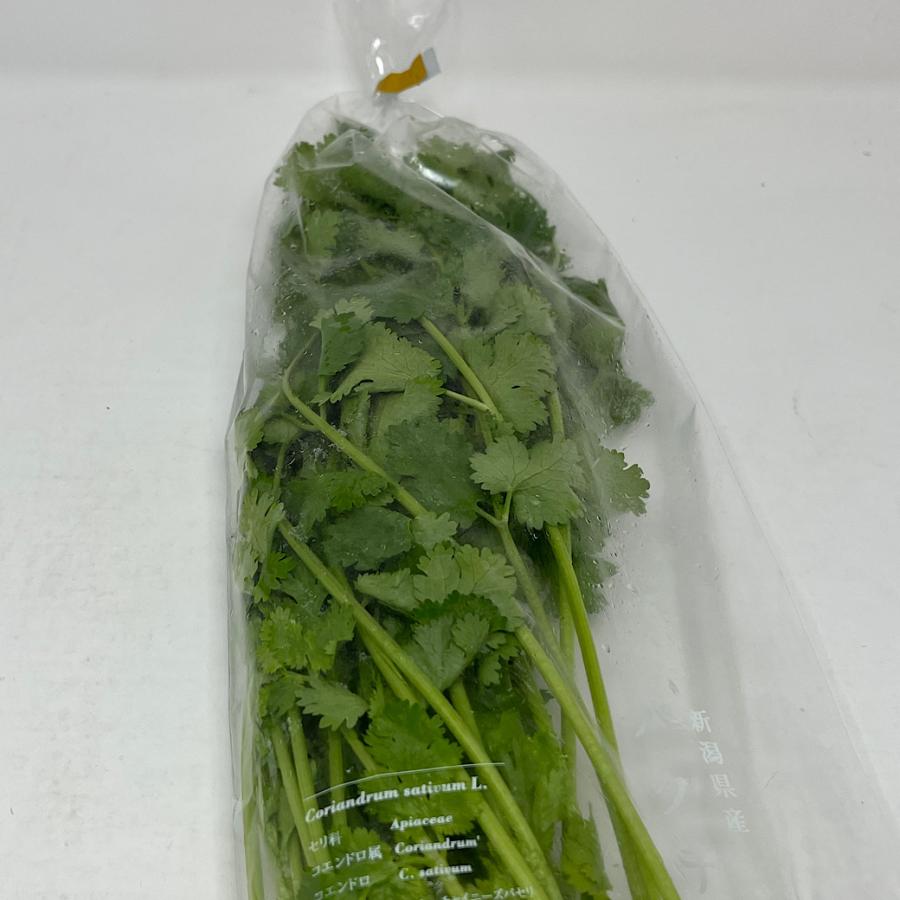パクチー 生 コリアンダー シャンツァイ 1パック 香菜