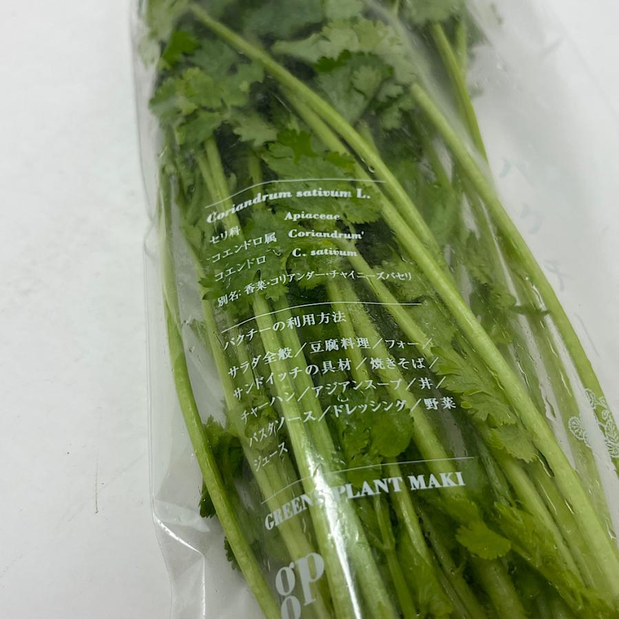 パクチー 生 コリアンダー シャンツァイ 1パック 香菜