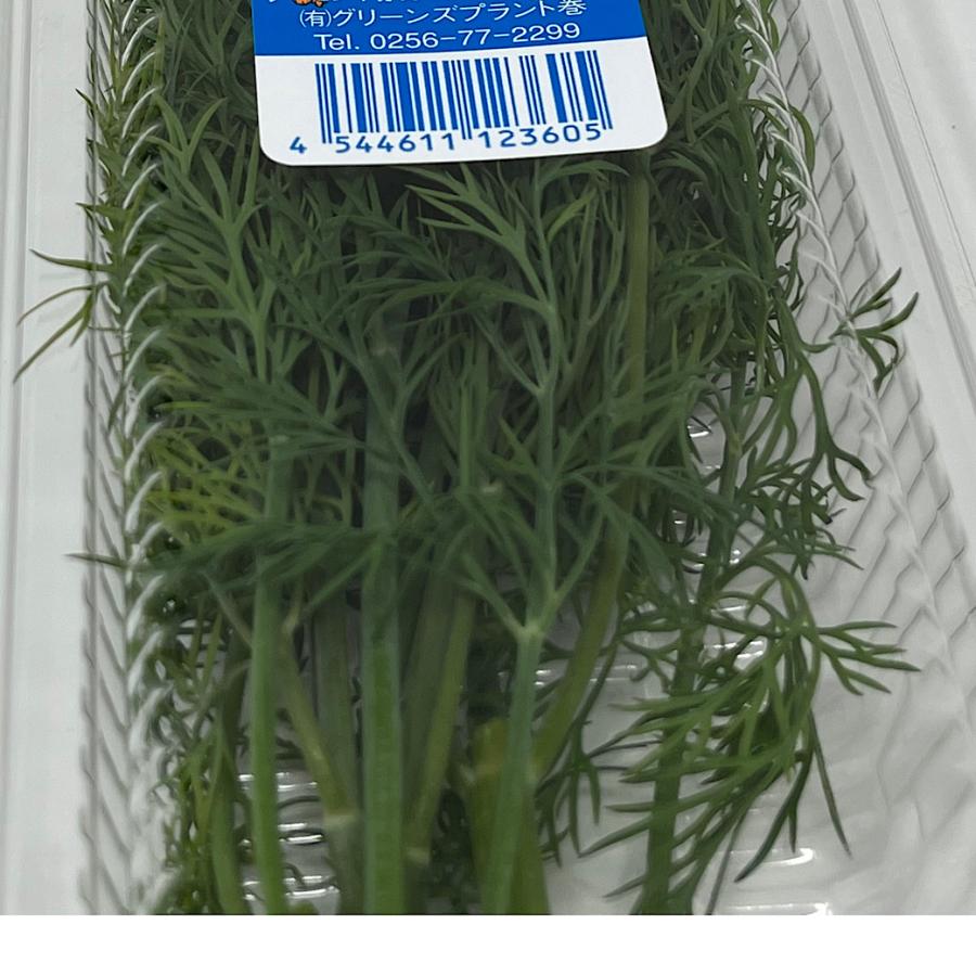 ディル アネト パック 飾り 10〜15g入れ ハーブ dillherb高級フルーツ野菜問屋・五十嵐本店 通販 Yahoo!ショッピング