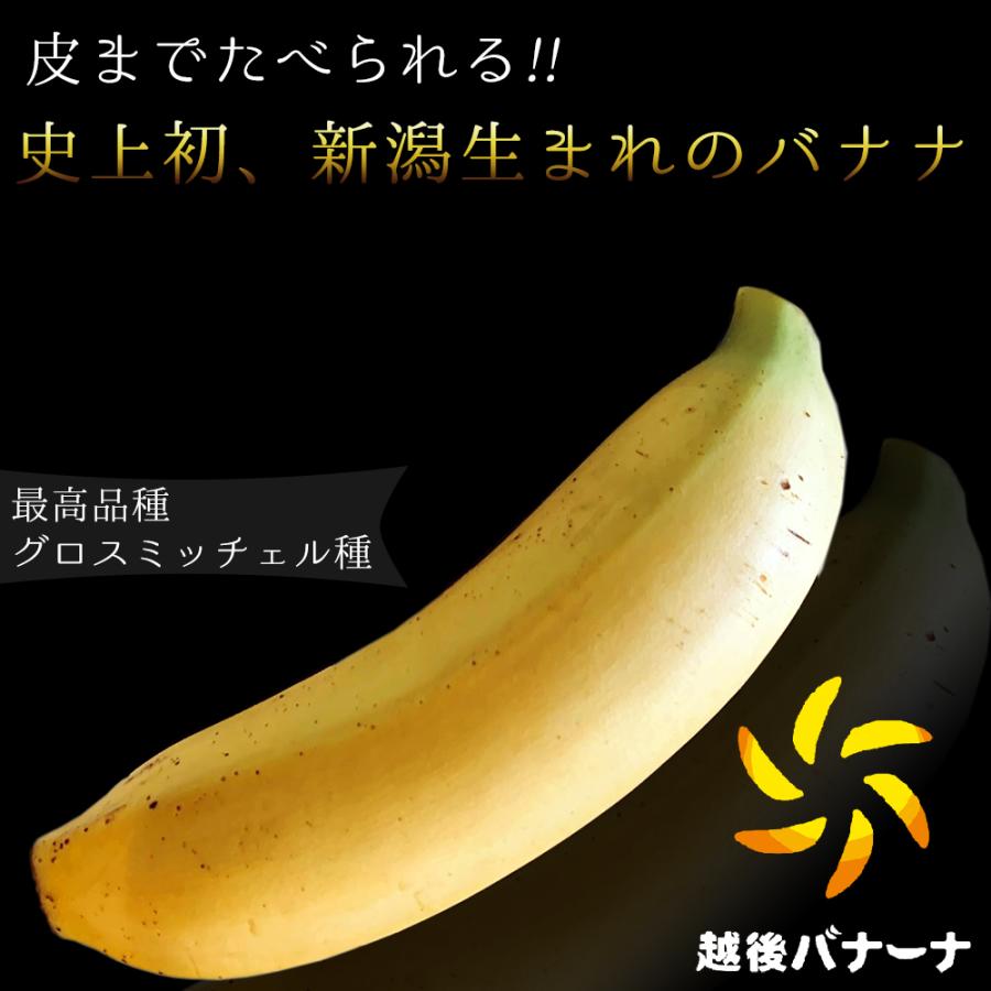 高級 バナナ