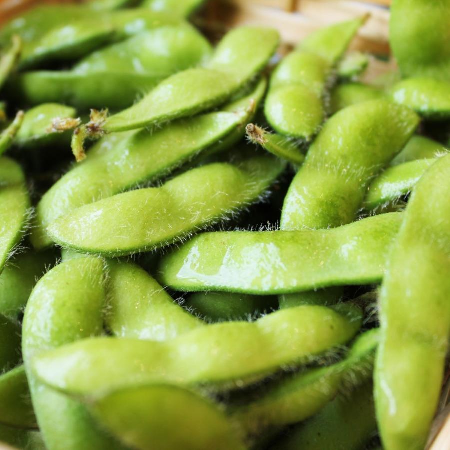 茶豆 新潟県産もぎ枝豆 1kg 味も香りも最高 エダマメ えだ豆 えだまめ Edamame Pack01 高級フルーツ野菜問屋 五十嵐本店 通販 Yahoo ショッピング