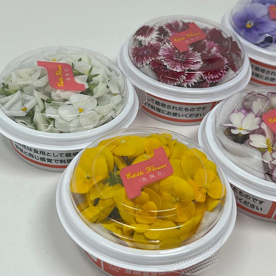 フレッシュ エディブルフラワー 食用花 1パック 色はお任せ : 高級