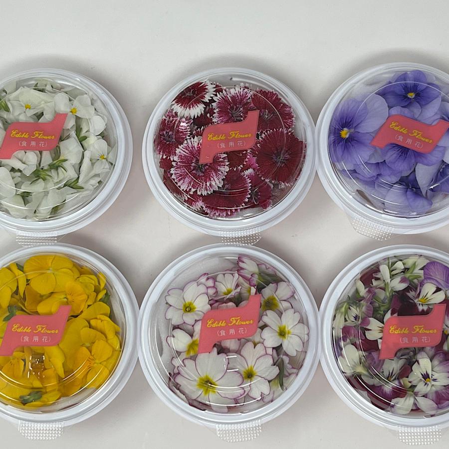 フレッシュ エディブルフラワー 食用花 1パック 色はお任せ : 高級