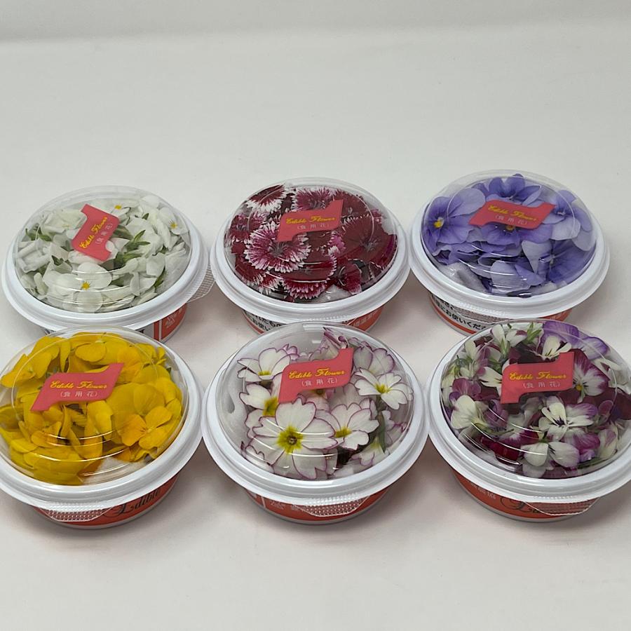 フレッシュ エディブルフラワー 食用花 1パック 色はお任せ : 高級