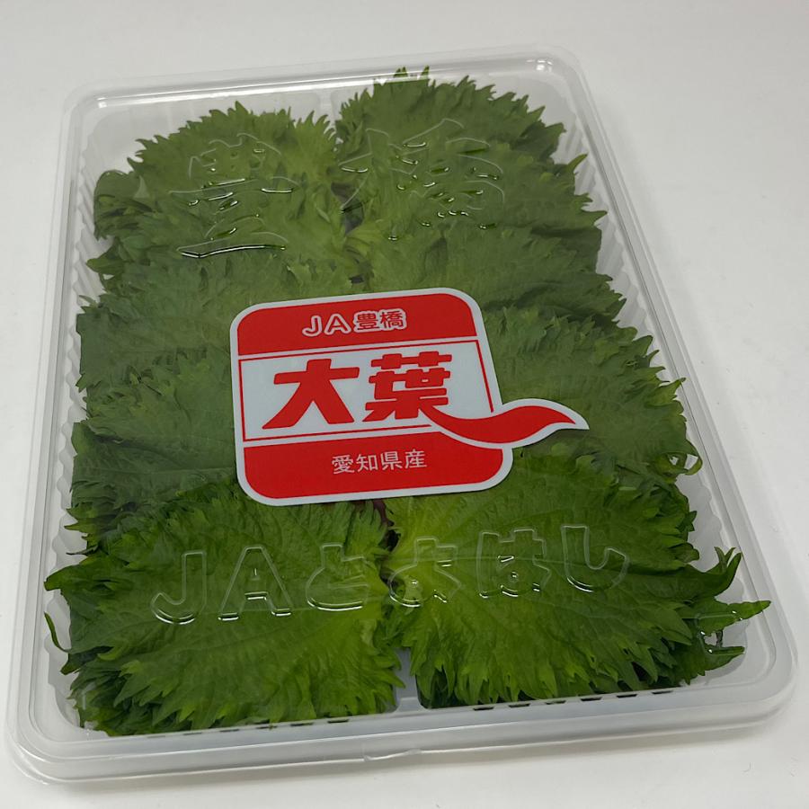 SALE/99%OFF】 大葉 青じそ 愛知県産 100枚 1パック10枚×10束 03 白 フランク三浦 ラウンドファスナー 長財布 ホワイト
