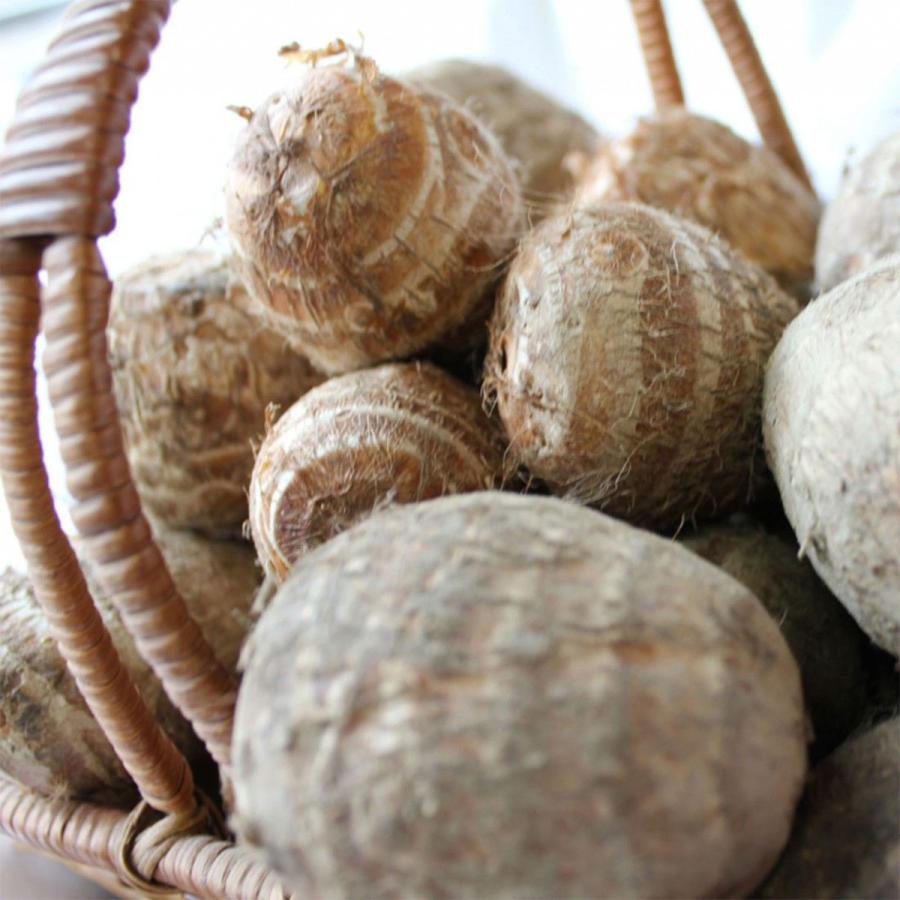 里いも3種類たべくらべセット 里芋 さといも サトイモ Set Satoimo 3kind 高級フルーツ野菜問屋 五十嵐本店 通販 Yahoo ショッピング