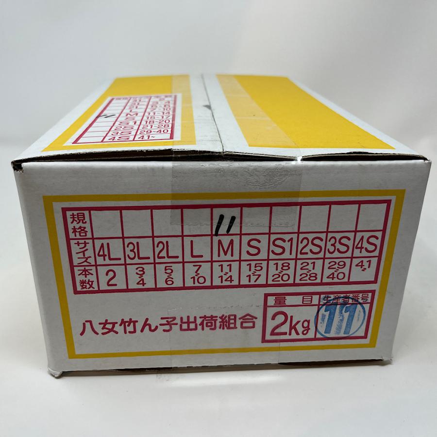 たけのこ 国産筍 2kgバラ詰め 九州産 (鹿児島、熊本、福岡産が たけのこ 国産筍 2kgバラ詰め 九州産 (鹿児島、熊本、福岡産が