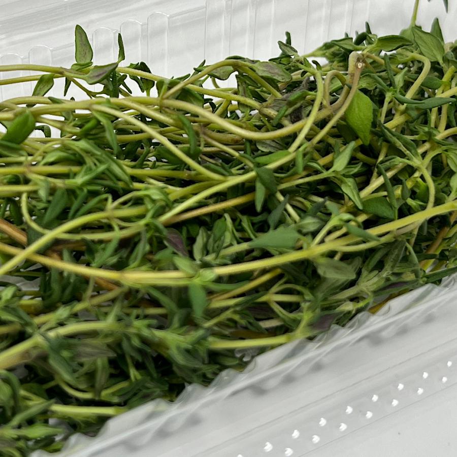 タイム パック 飾り 10〜15g入れ ハーブ : 高級フルーツ野菜問屋