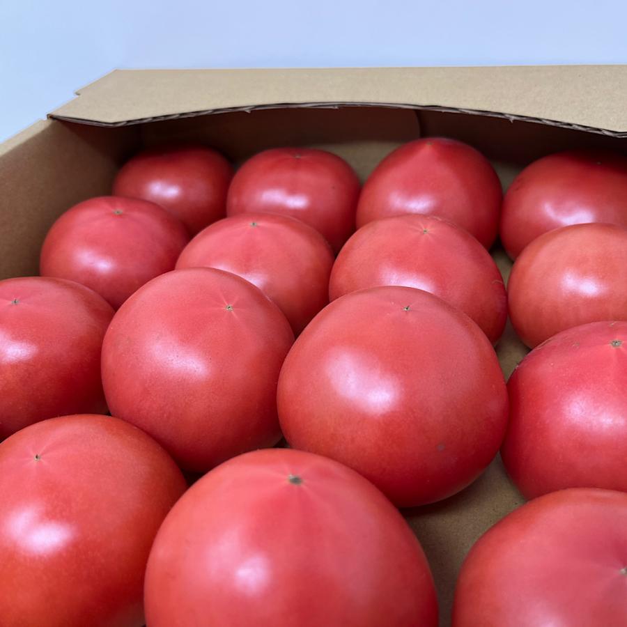 送料無料 トマト 24玉入 Mサイズ 4kg 箱売り 卸売 まとめ買い 送料無料 トマト 24玉入 Mサイズ 4kg 箱売り 卸売 まとめ買い