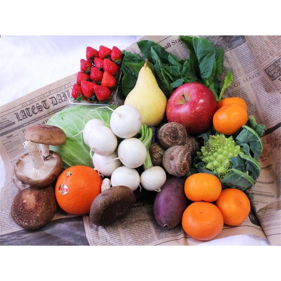 お得な旬のお野菜 果物詰め合わせ ベーシックセット Vegefru Selection Basic 3780 高級フルーツ野菜問屋 五十嵐本店 通販 Yahoo ショッピング