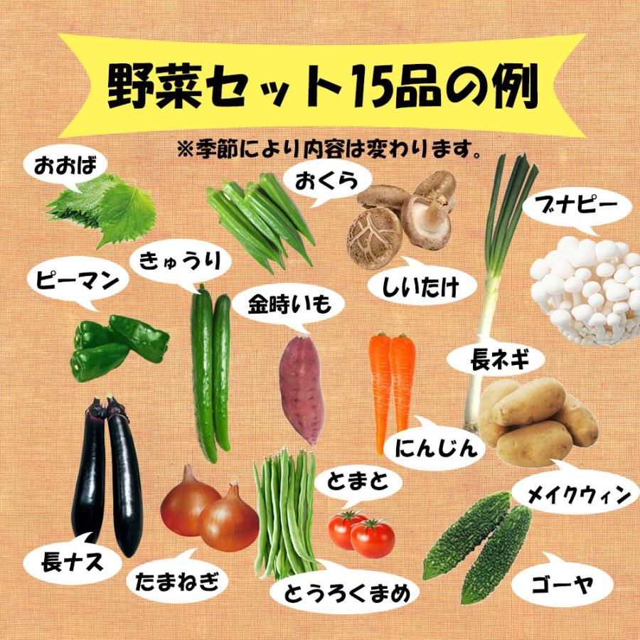 野菜セット 野菜 野菜詰め合わせ お試し 8品 送料無料 ベジろう 通販 Yahoo ショッピング