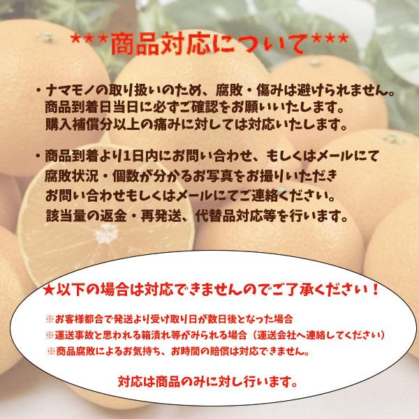 【予約】 七折小梅 家庭用 父の日 うめ 梅 梅干し用 七折 小梅 約5ｋｇ 送料無料｜vegetable-fruit-pro｜03