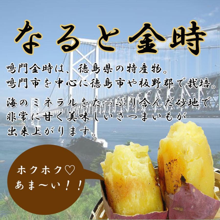 鳴門金時 徳島県産 なると金時 金時芋 さつまいも 5ｋｇ L-2L 2023年 新物 送料無料｜vegetable-fruit-pro｜03