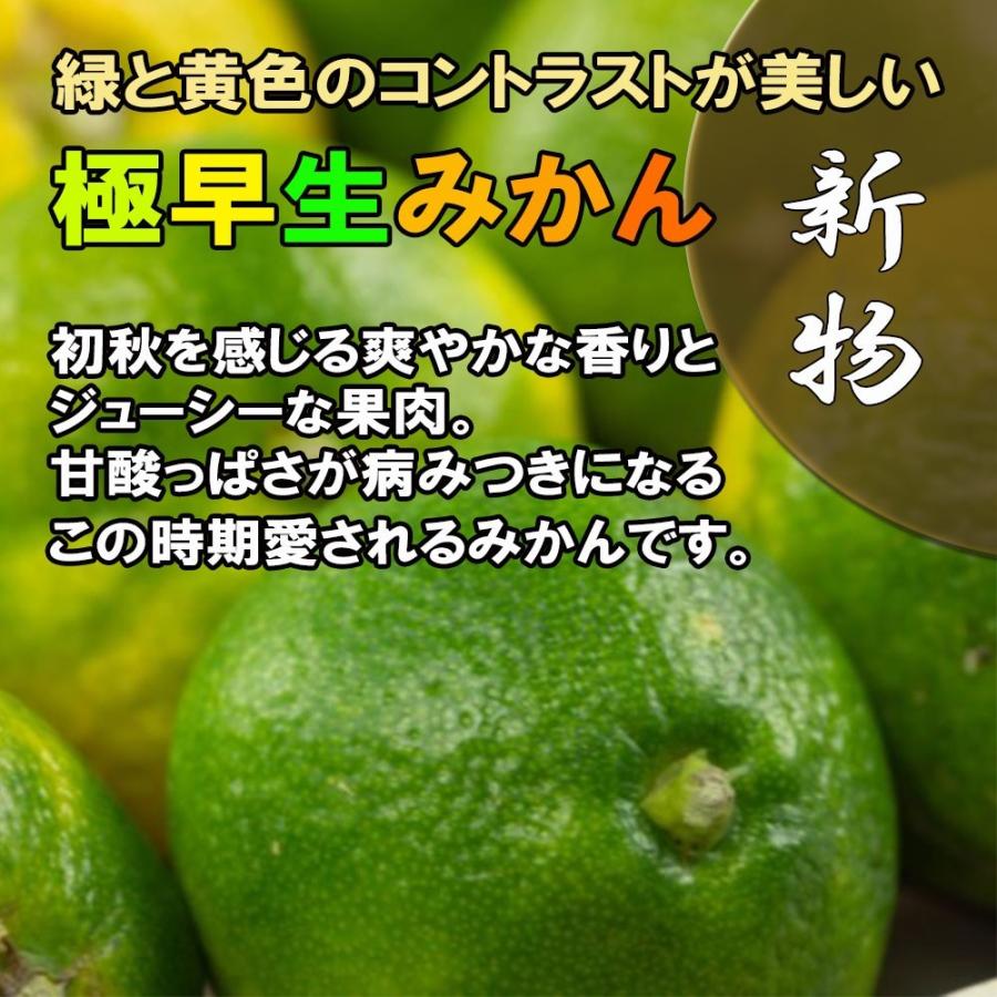 極早生みかん 極早生 愛媛県産 超早出し 2ｓ ｓ小玉 不揃い 約5ｋｇ 初物 新物 青みかん 送料無料 ベジろう 通販 Yahoo ショッピング