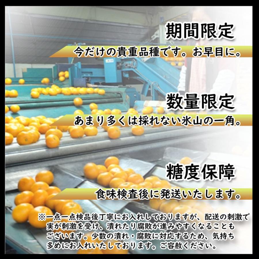 みかん 訳あり 箱買い 高糖度みかん 愛媛みかん 小玉厳選  糖度12度以上 約5ｋｇ 家庭用 送料無料 |  | 02