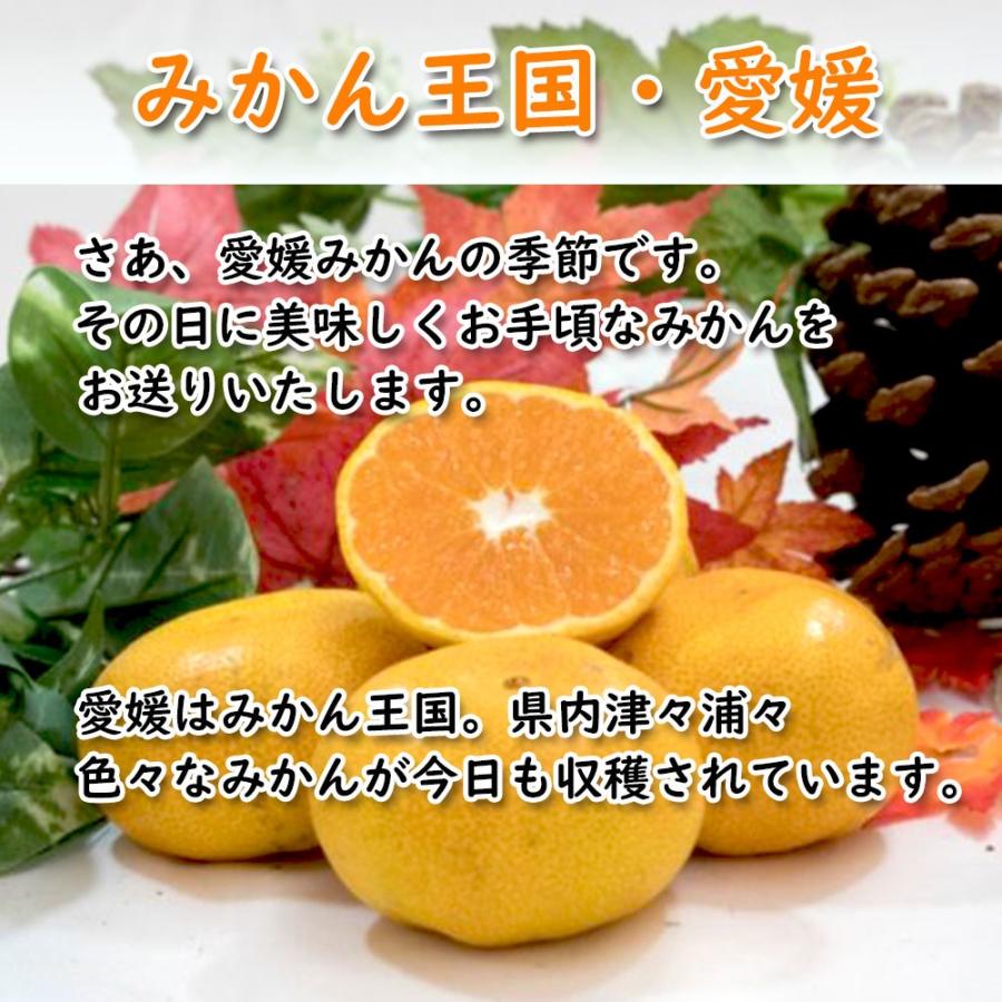 みかん 訳あり 箱買い 愛媛みかん 温州みかん 2ｋｇ 愛媛 みかん 送料無料 |  | 01