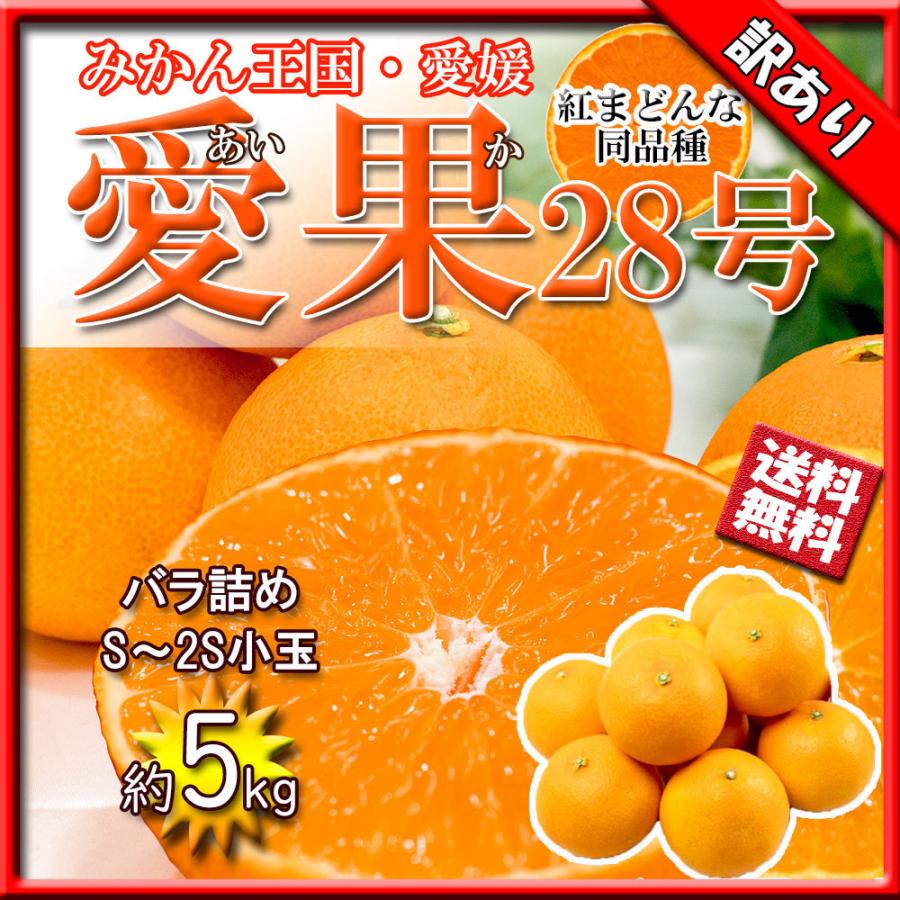 愛果28号 紅まどんな 訳あり 小玉〜中玉混合 みかん 箱買い 約5kg