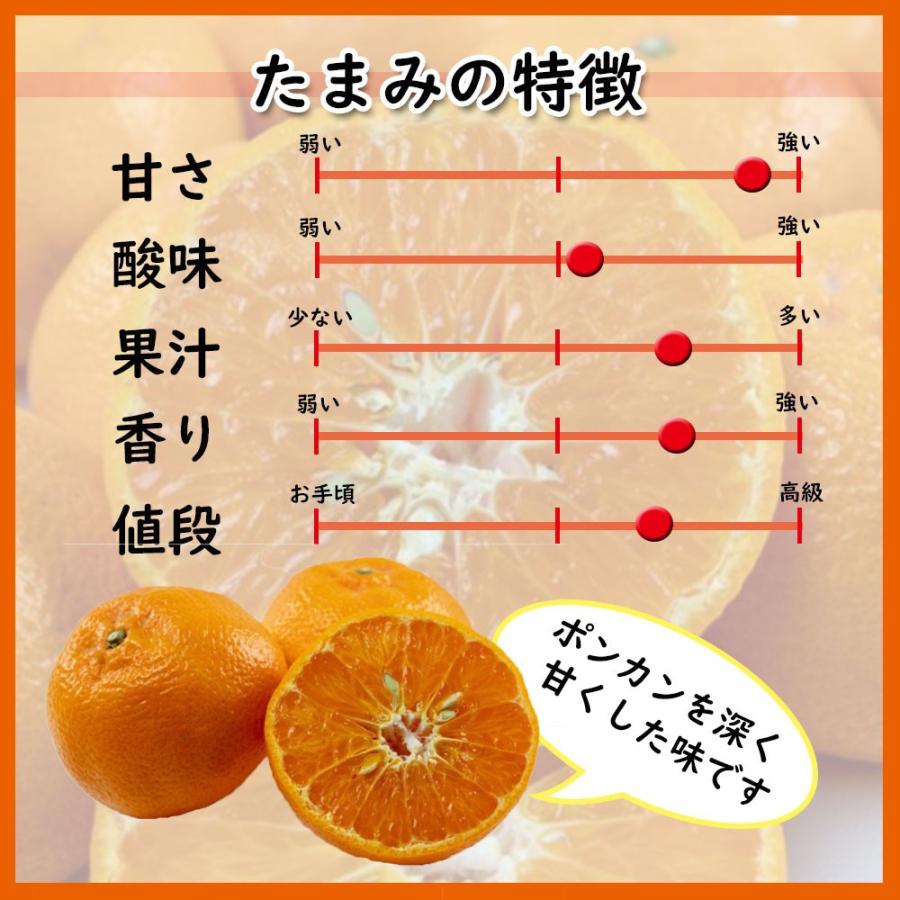 たまみ 家庭用 みかん 新品種 箱買い 愛媛県産 送料無料 約2ｋｇ ｍ 3ｌ ベジろう 通販 Yahoo ショッピング