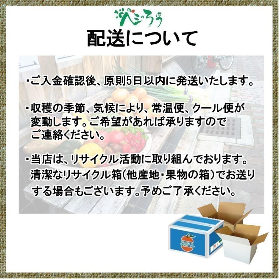 はるか 家庭用 みかん 箱買い 愛媛県産 送料無料 5ｋｇ Ｍから3Ｌ 希少柑橘