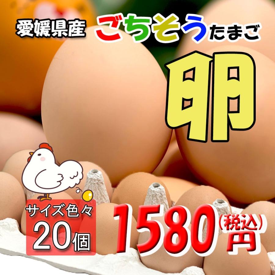 たまご 愛媛県 父の日 餌と生育にこだわった ごちそう卵 まとめ買い 20個 送料無料