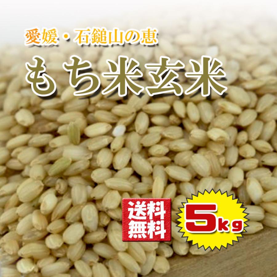 もち米玄米 もち米 玄米 愛媛県産 農家直送 玄米 精米可 約5kg 減農薬 送料無料 ベジろう 通販 Yahoo ショッピング