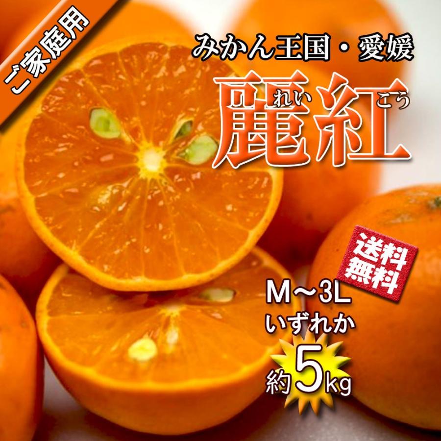 麗紅 れいこう 家庭用 はまさき 愛媛県産 希少品種 清見 M 3l 約5ｋｇ 送料無料 ベジろう 通販 Yahoo ショッピング