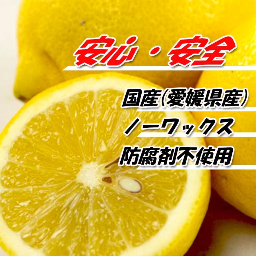 レモン 訳あり 2023年 愛媛県産 檸檬 ノーワックス 防腐剤不使用 不揃い 2ｋｇ 新物 送料無料｜vegetable-fruit-pro｜03