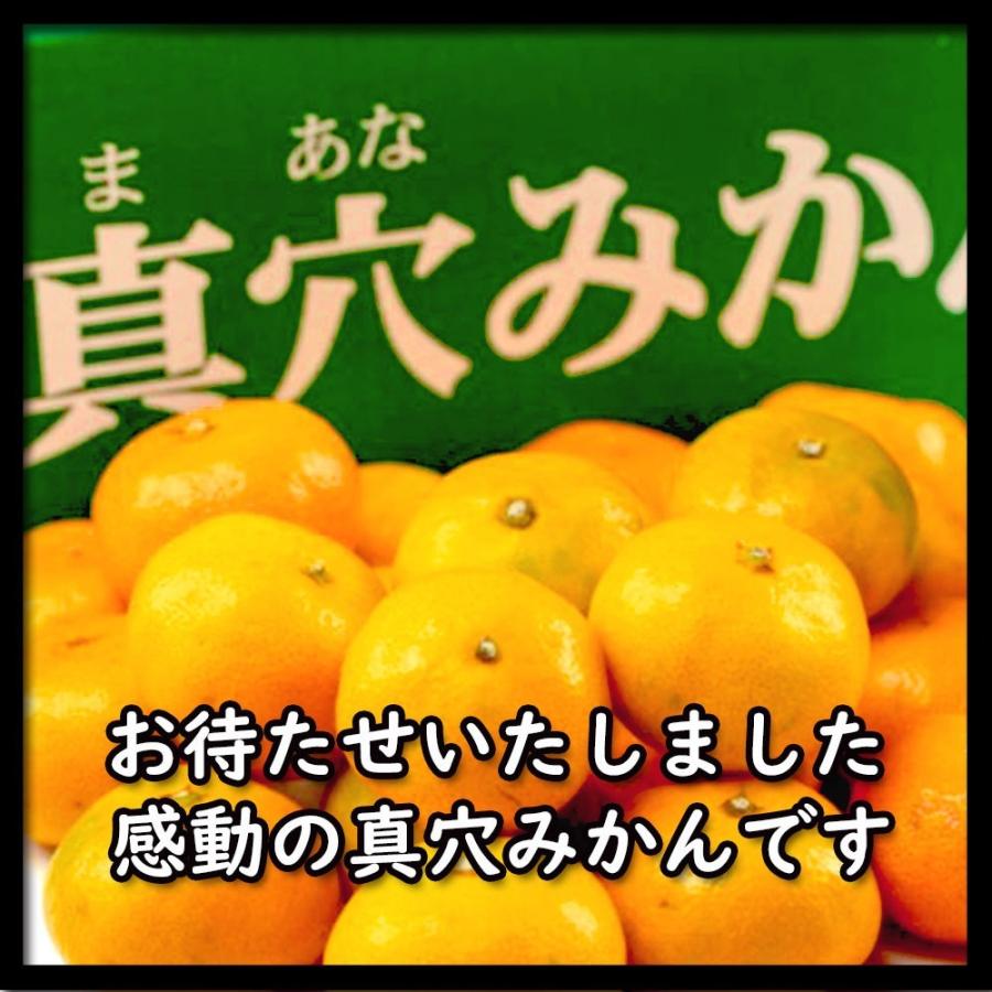 真穴みかん みかん 贈答 お歳暮 真穴 約2kg S M L いずれか 送料無料