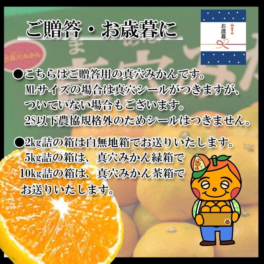 みかん 真穴みかん ご贈答 お歳暮 真穴 約3ｋｇ S Ｍ Ｌ いずれか 送料無料 |  | 03
